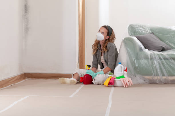 Reliable Black Mold Removal contractor in Mechanicsburg, PA by WQB Mold Removal
